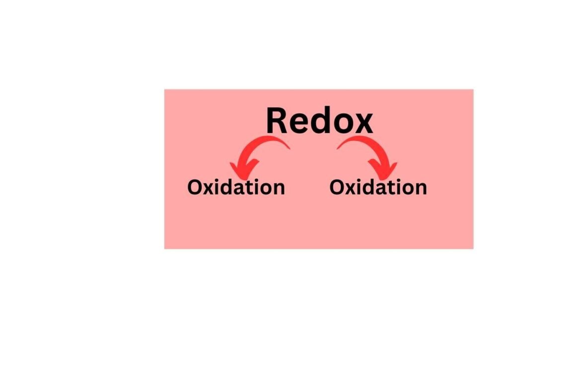 Oxidation-Reduction | Redox| Physiology